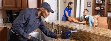 Best Termite Inspection and Treatment  in Elgin, IL